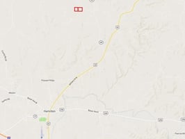 32795568