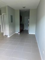 20745796