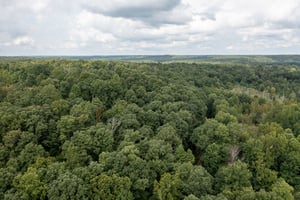 34170982