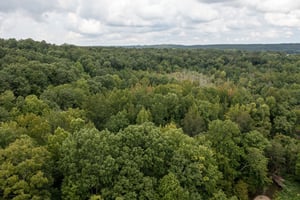 34170970