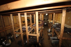 20950459