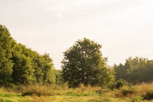 33260227