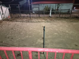 20777493