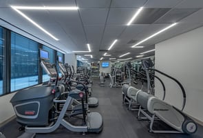 20779490