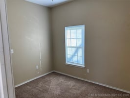 29553261
