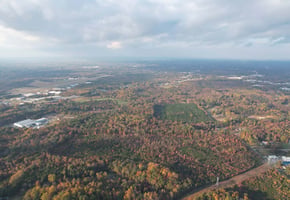 20809542