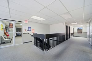 31157507