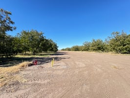 20836787