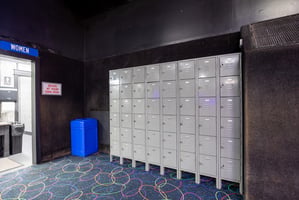 20868818