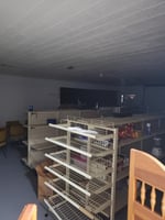 20887504