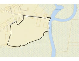 20905444