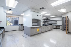 20907369
