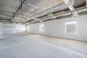 20907387