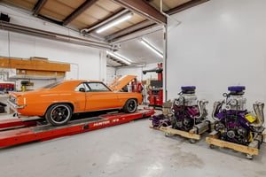 20924431