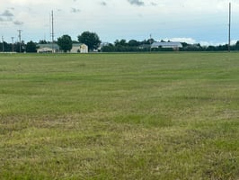 25004564