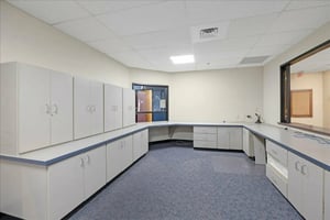 33070772