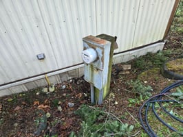 20945923
