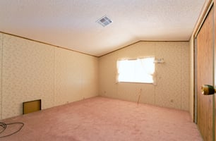 20948651