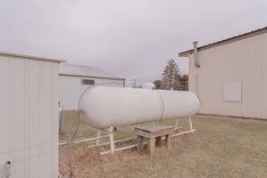 29303233