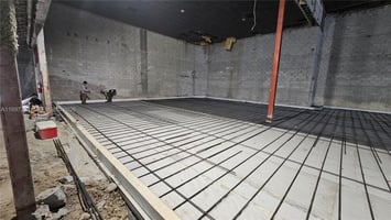31555808
