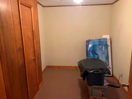 21804966