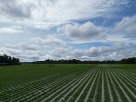28925041