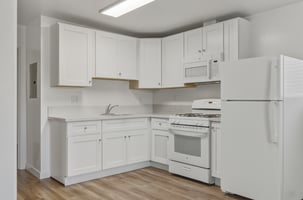 29468661