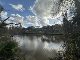 21032646