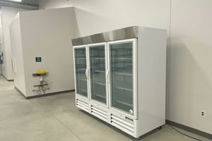 29985081