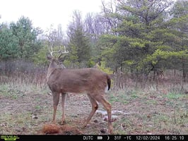 21051317