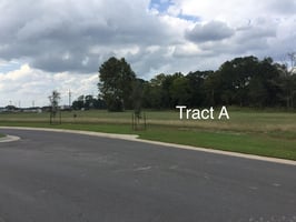 21068640