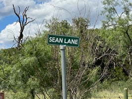 32893374
