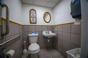 23569646