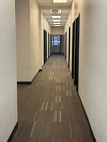 26348513
