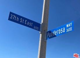 21156537