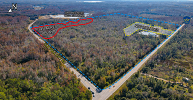 22044635