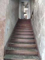 21175391