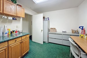 21175676