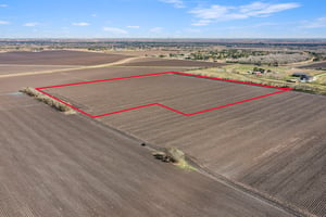 21379117