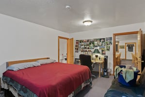 21231669
