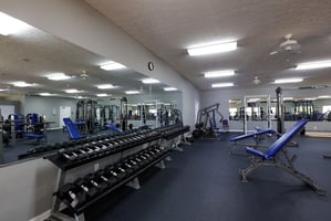 21227738