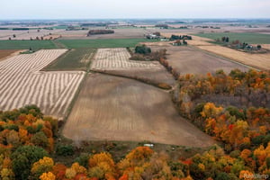 33649084