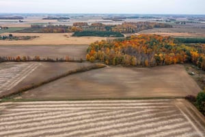 33649083