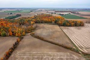 33649081