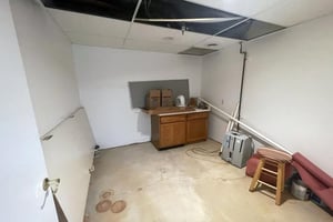 21248731