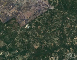33745229