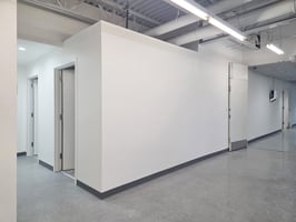30884342
