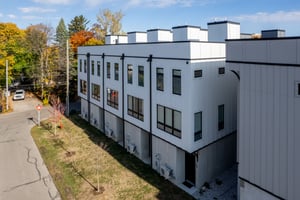 21295618