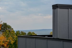 21295607