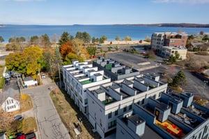 21295621